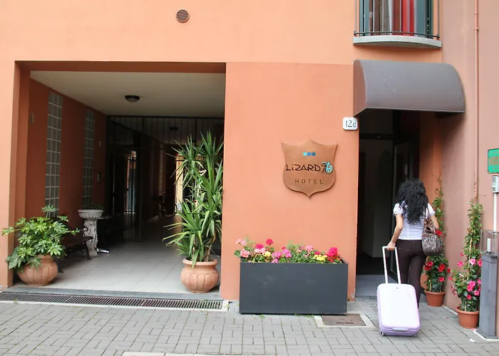 Отель Lizard 3*