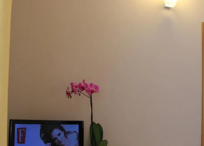 Lizard Отель 3*