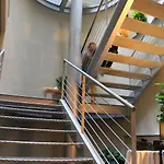 Hotel Lizard