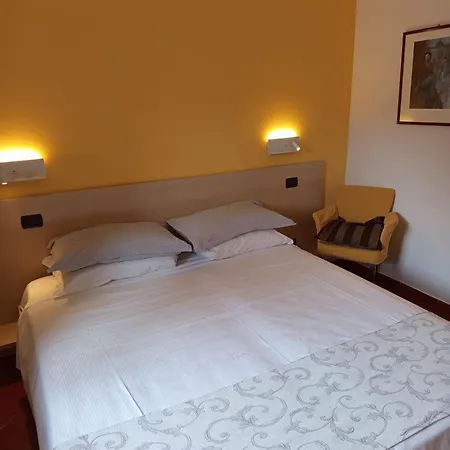 Hotel Lizard 3*