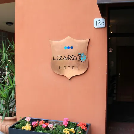 Lizard