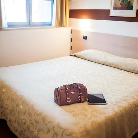 Hotel Lizard