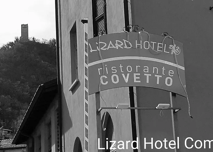 Lizard Hotel
